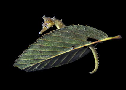 49a2fa182d25387bbdceb5533134199b_전민석 KakaoTalk_20260227_011110268.jpg